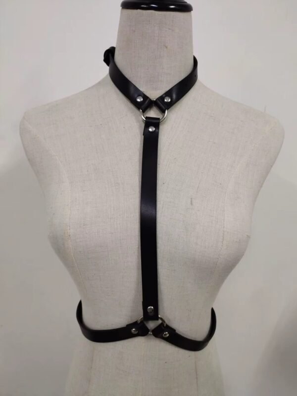 FLAMES HARNESS