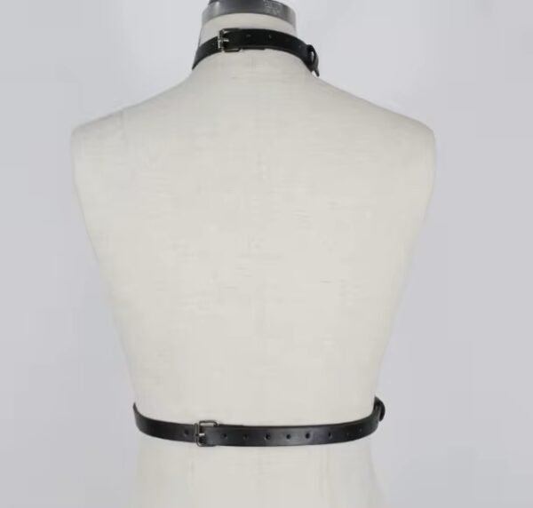 FLAMES HARNESS